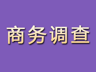 桂阳商务调查